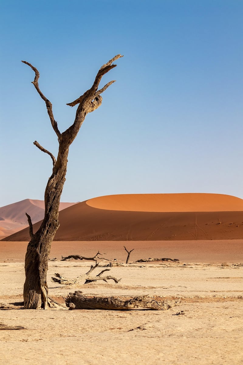 Hidden Desert Oasis